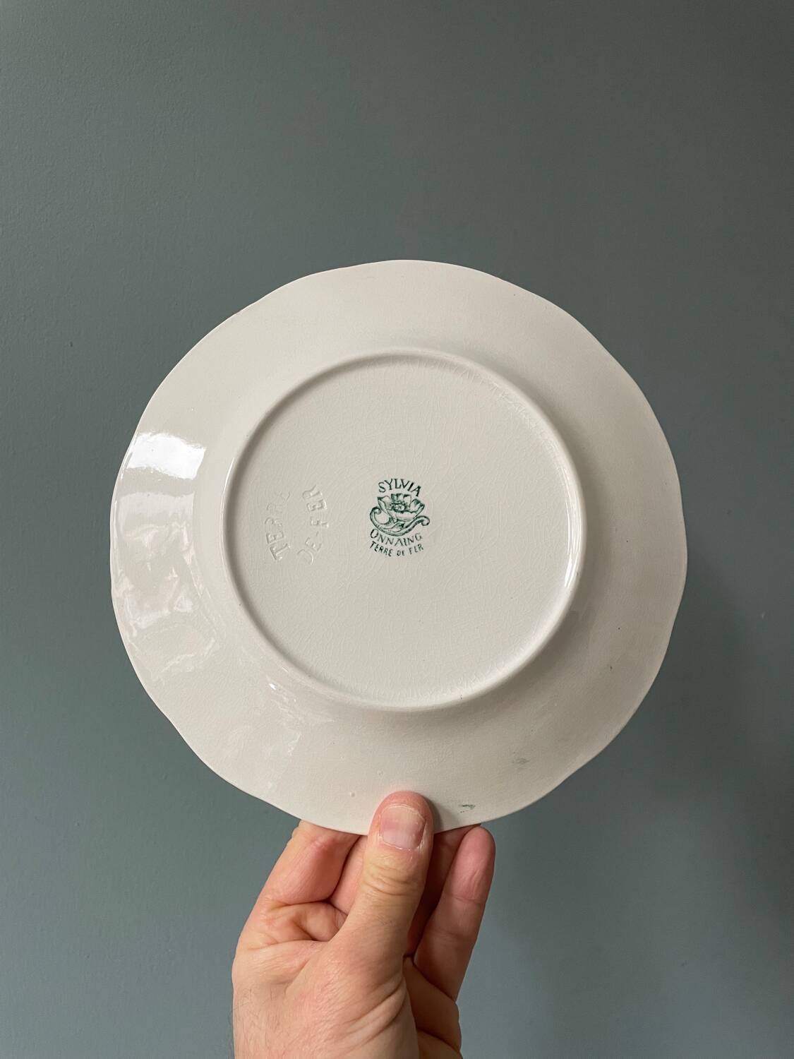 Series of 12 Terre de Fer flat plates in Onnaing earthenware, Sylvia model