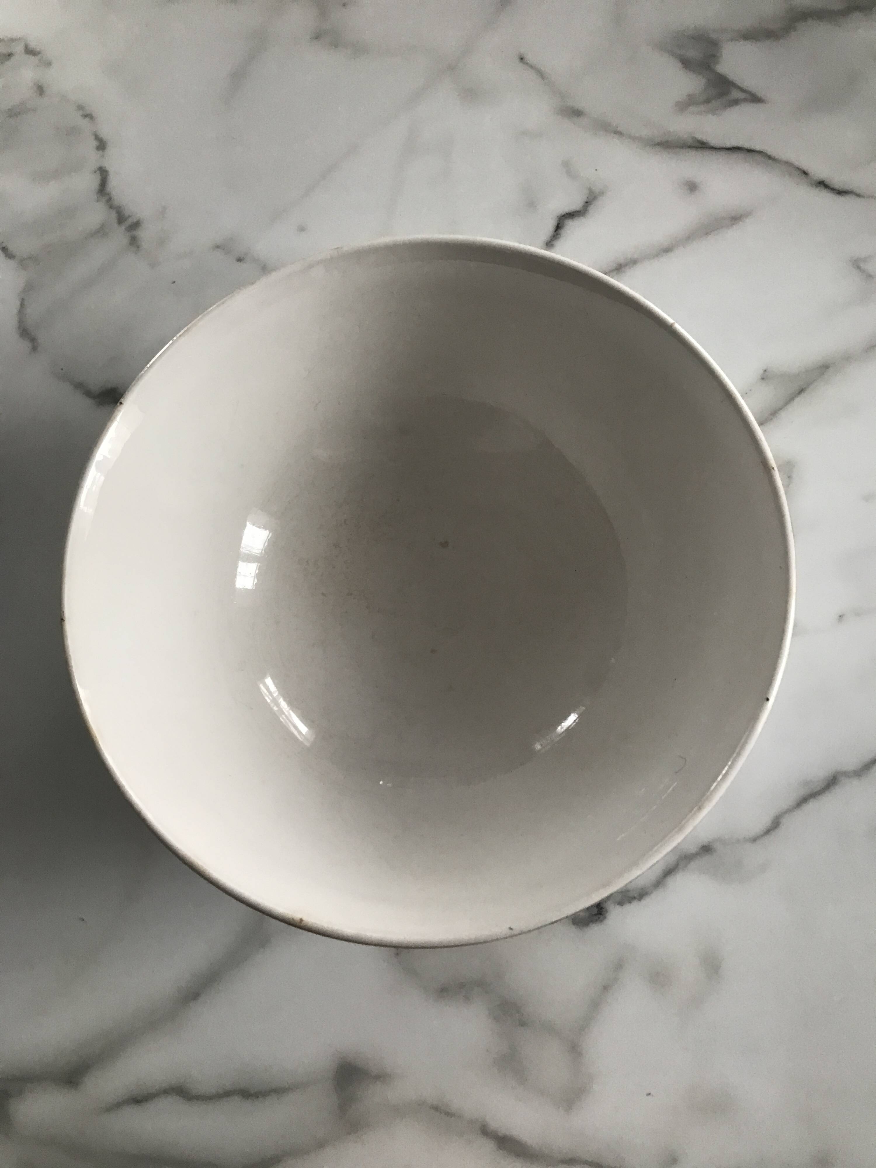 Vintage Digoin Sarreguemines fern salad bowl