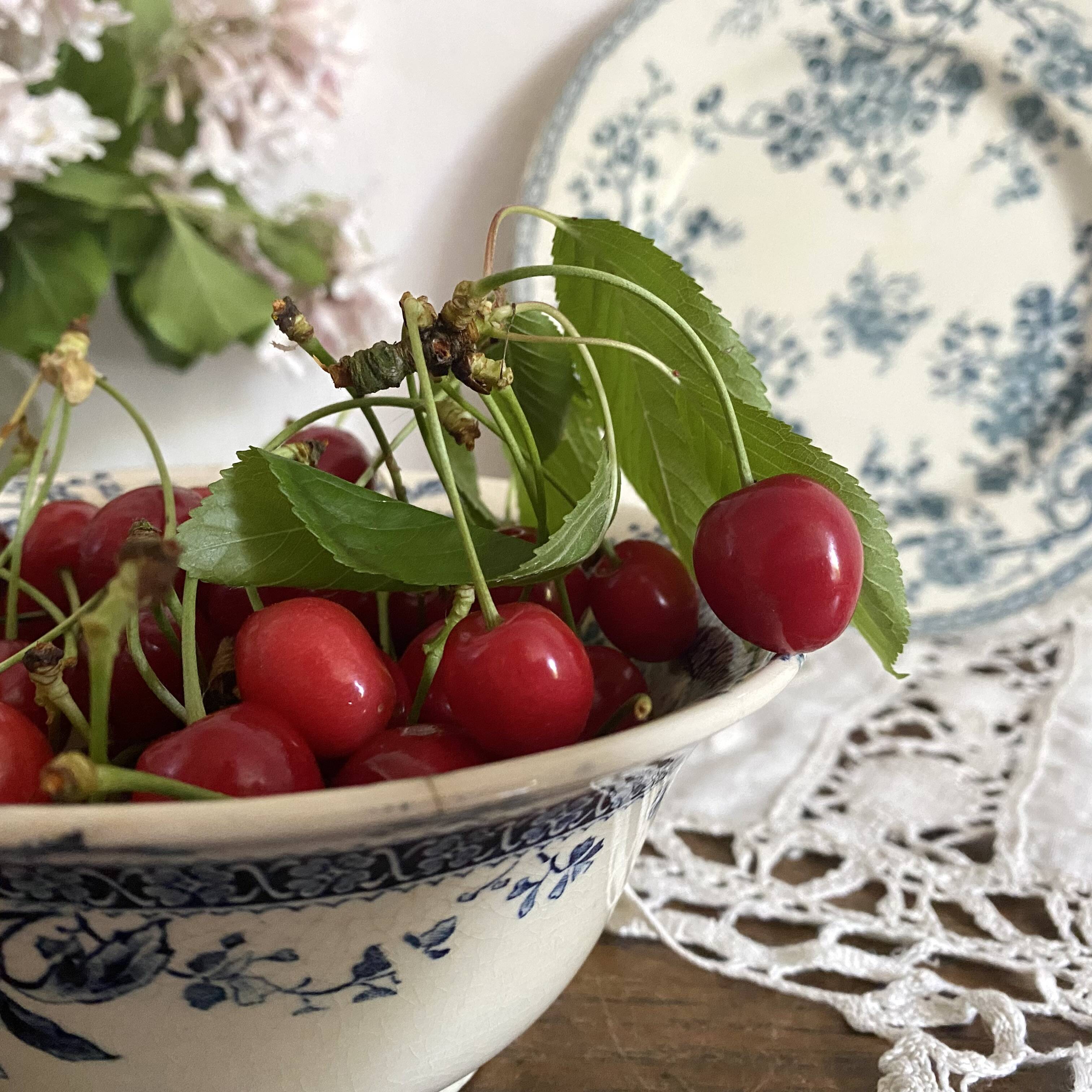 Gien Mireille ironstone bowl