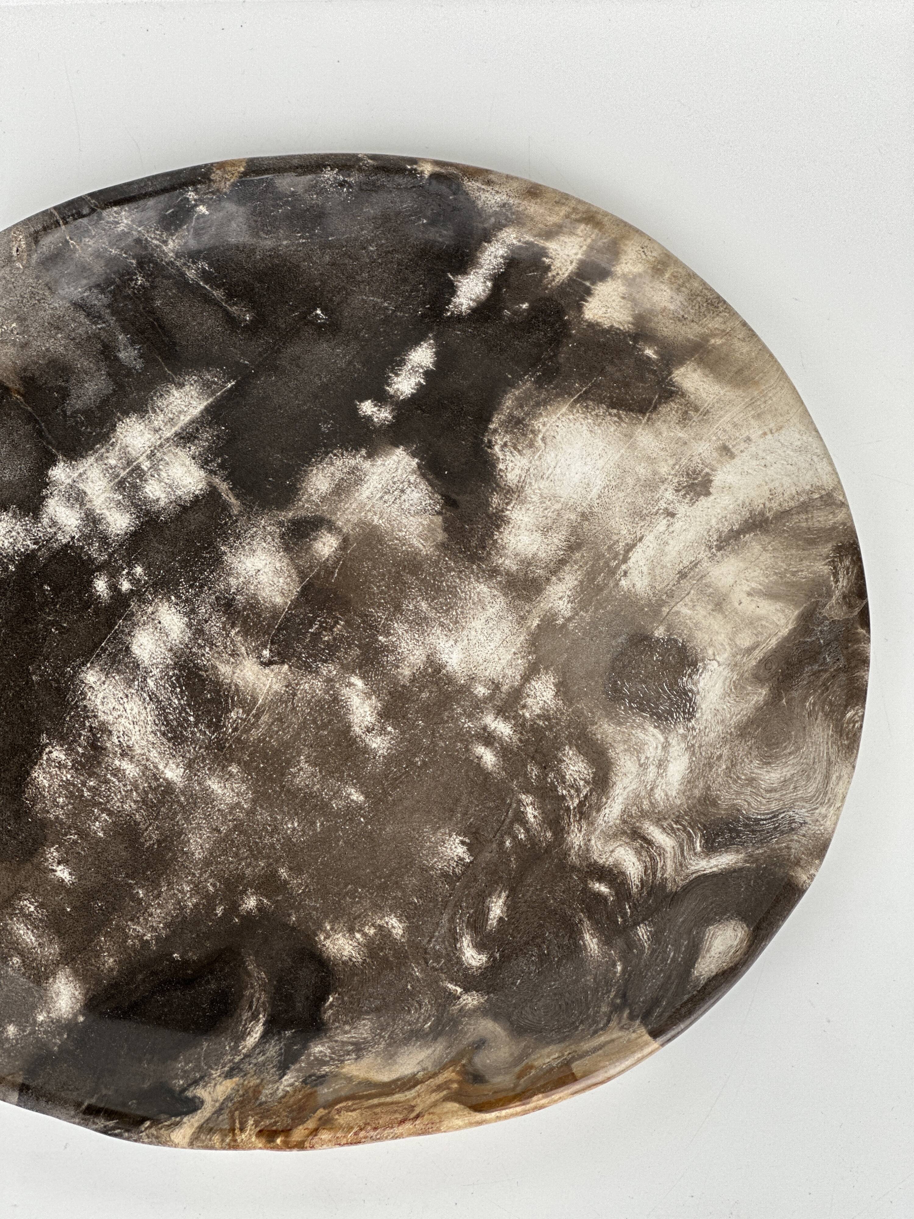 Dish in petrified wood