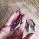 Set of three silver metal dolphin place markers