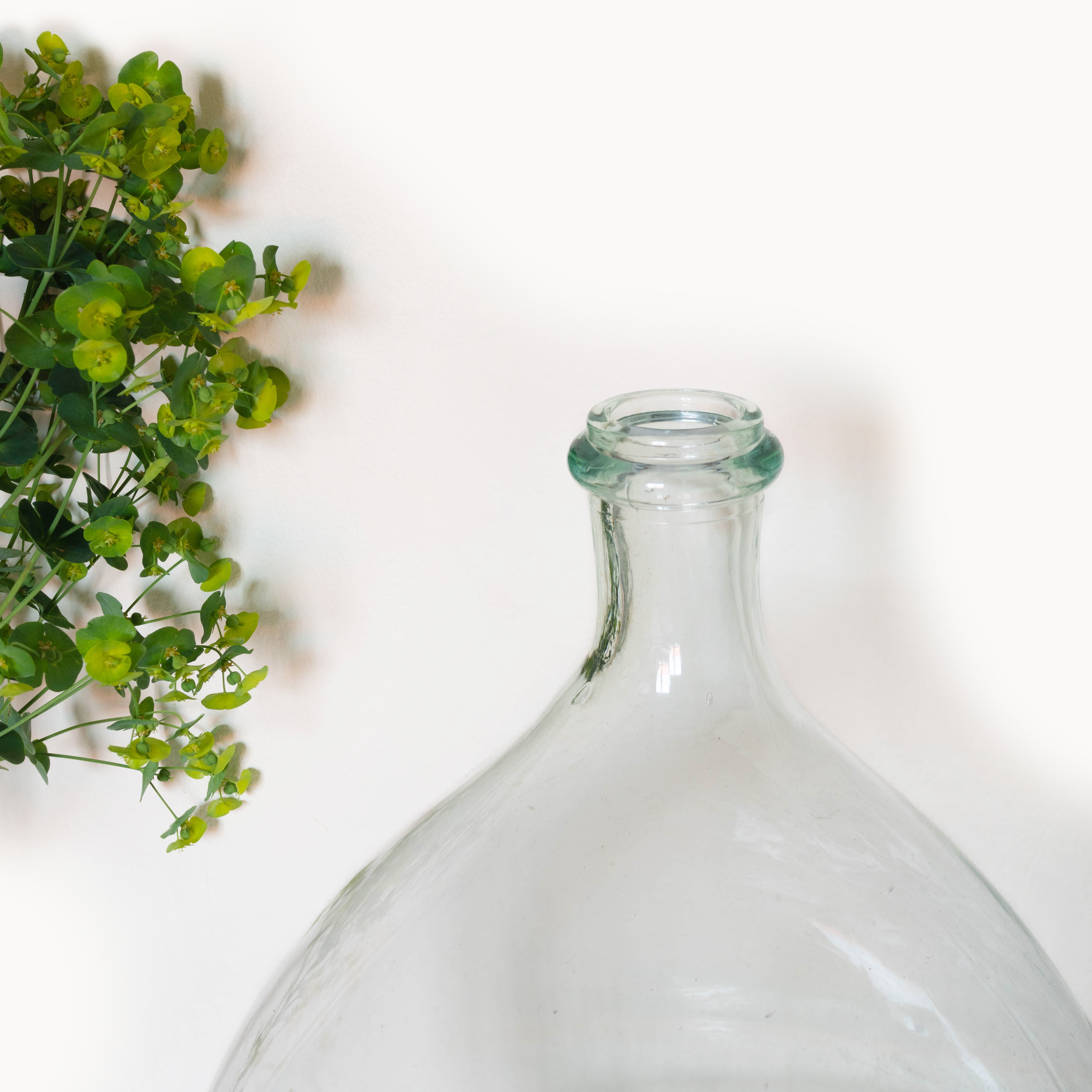 Demijohn transparent 10 L