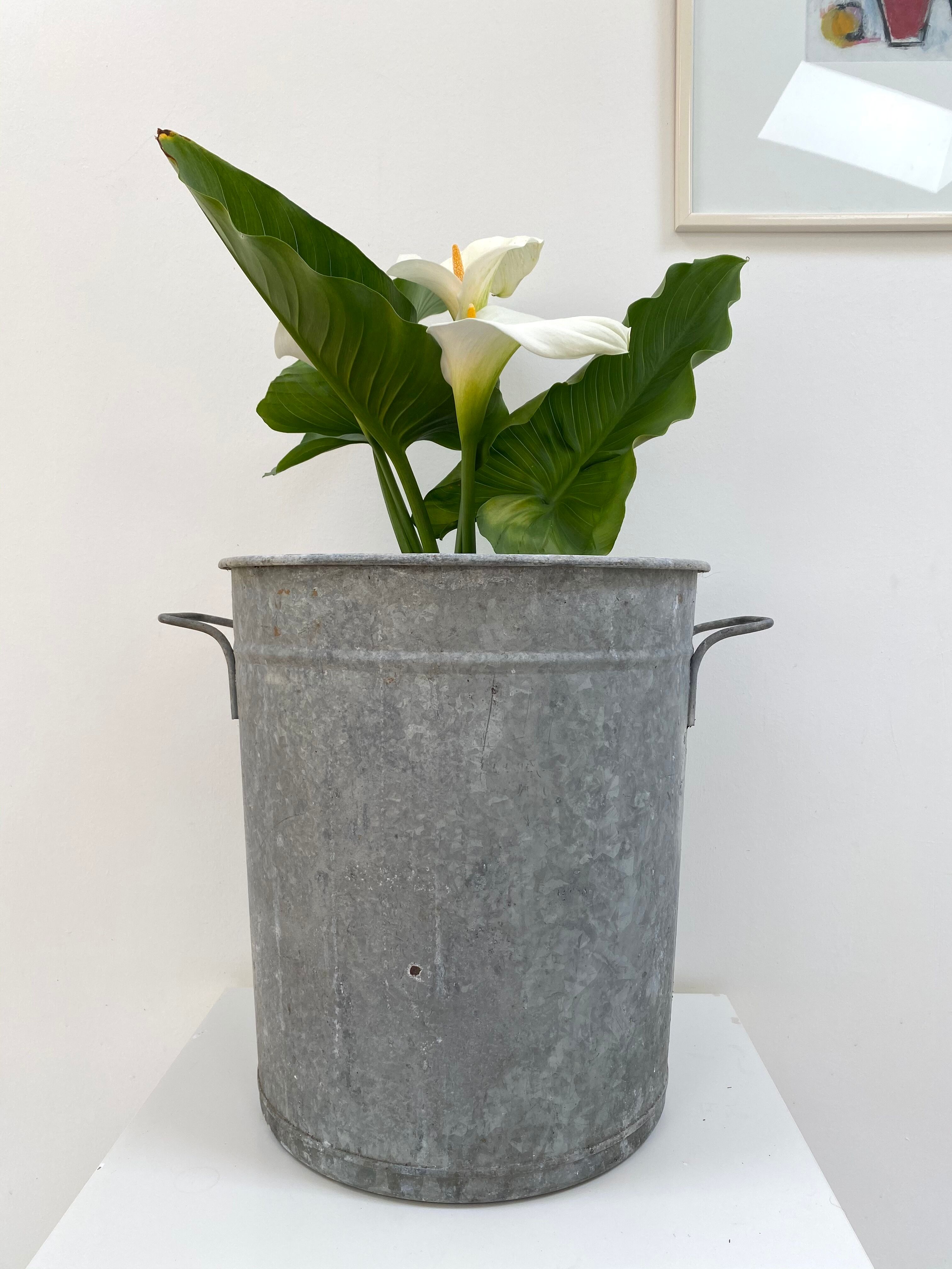 Zinc XL washing basin