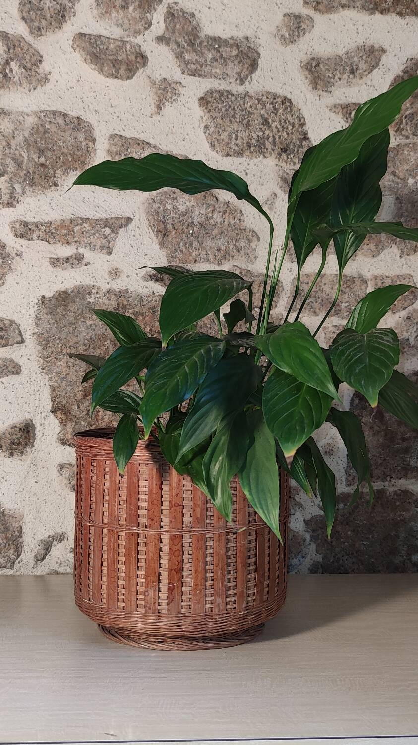 Rattan plant pot