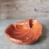 Empty pocket shell coral