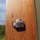 Renovated wooden cloakroom
