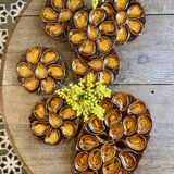 Vintage oyster service Vallauris