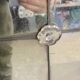 Miroir Industriel Verrière avec Patine Antique – Pièce Unique