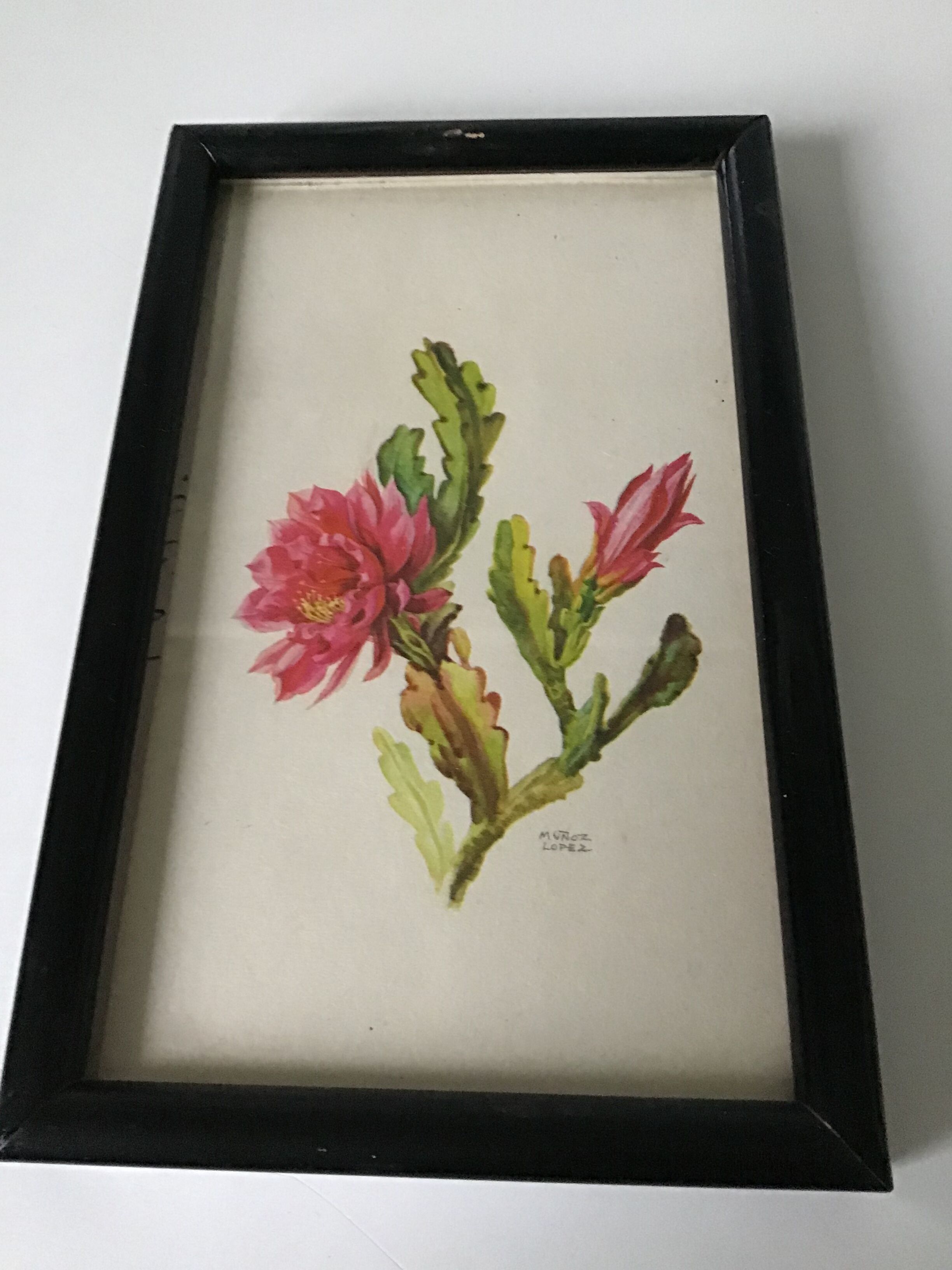 Série de petits cadres en bois avec des gravures anciennes signées de fleurs champetres