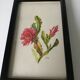 Série de petits cadres en bois avec des gravures anciennes signées de fleurs champetres