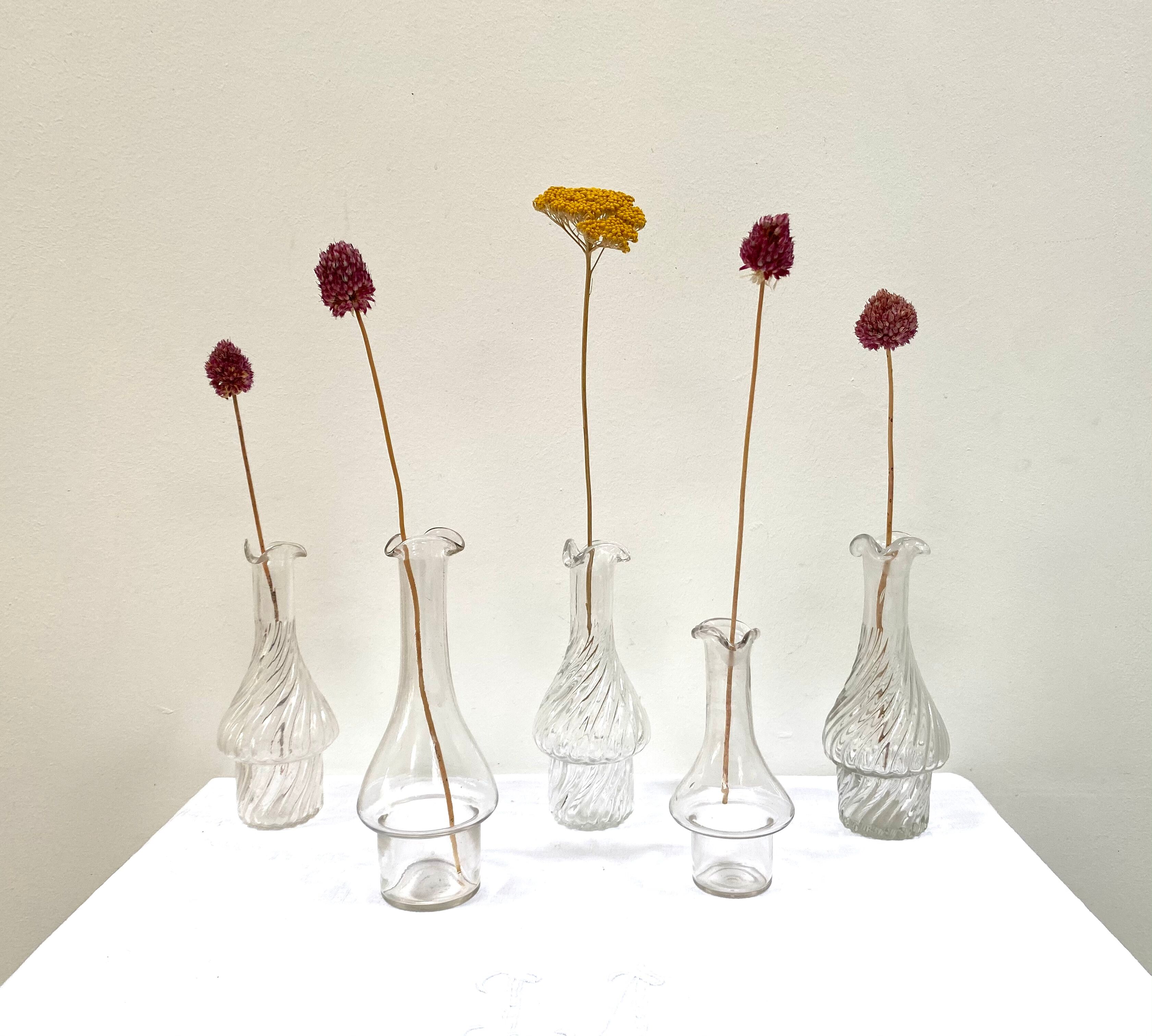 Set of 5 glass apothecary vials