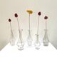 Set of 5 glass apothecary vials