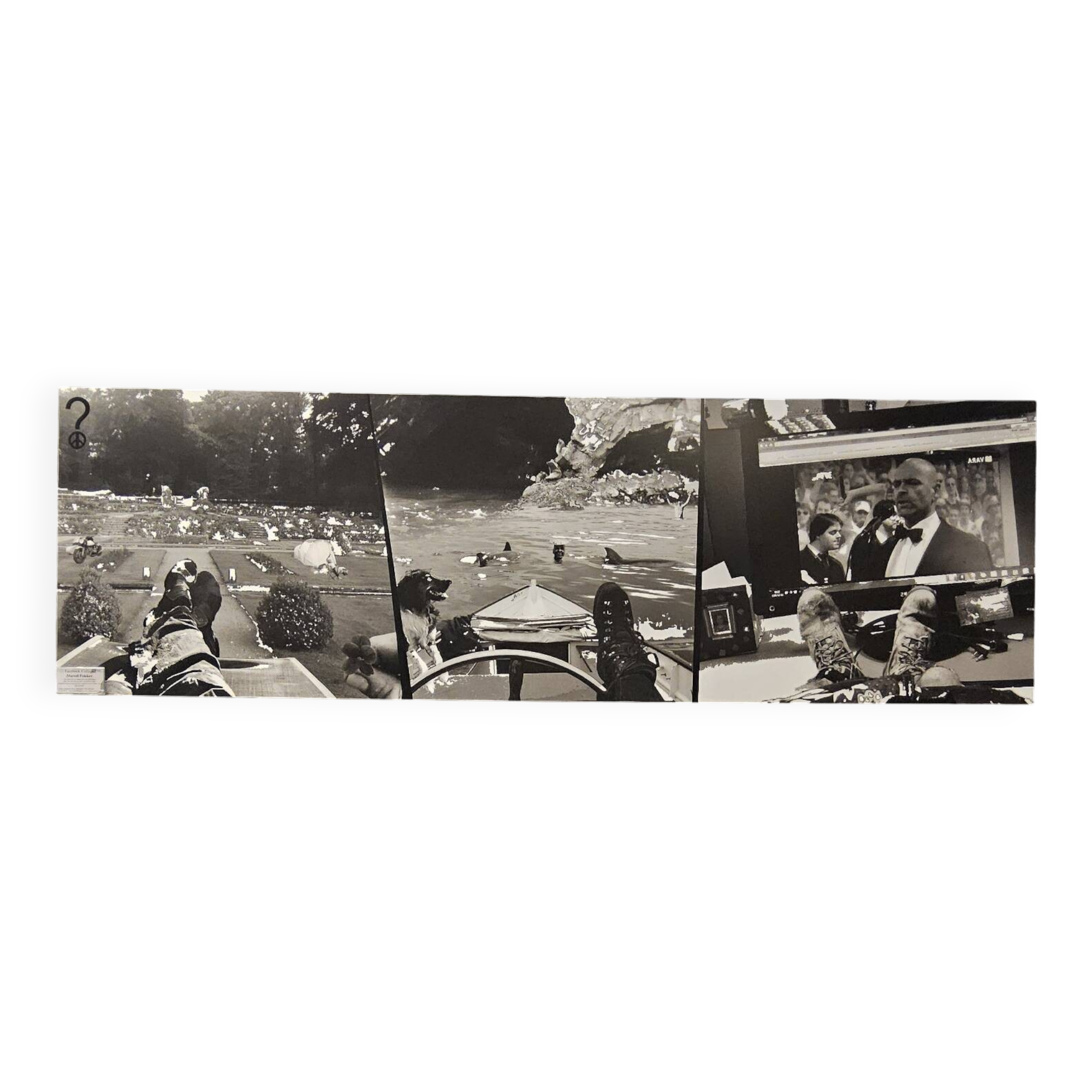 Large black and white artworks / photo collage (160x50)
 feet