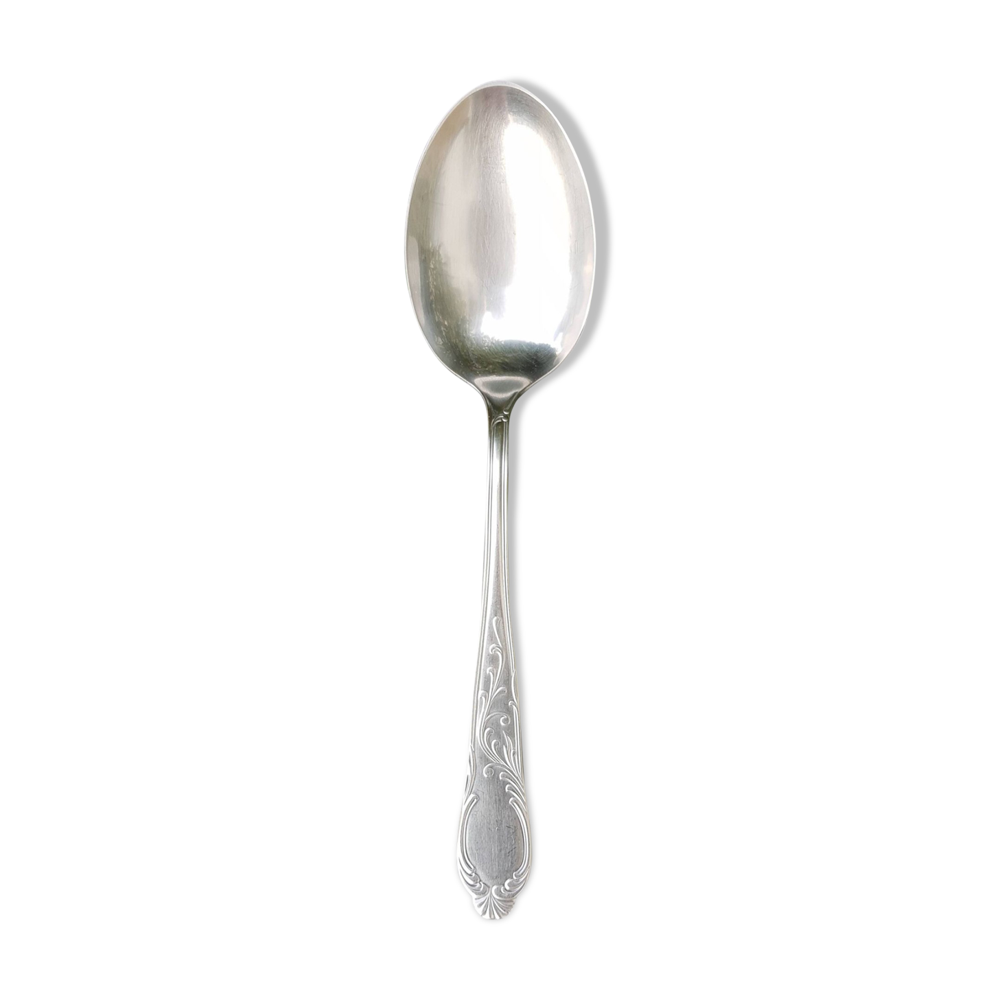 Sauce or dish spoon