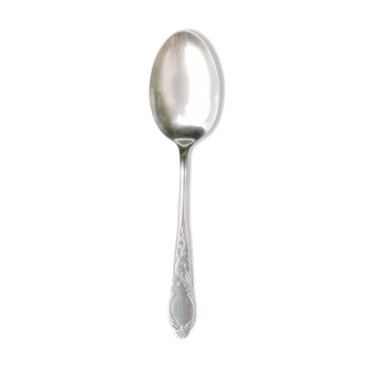 Sauce or dish spoon