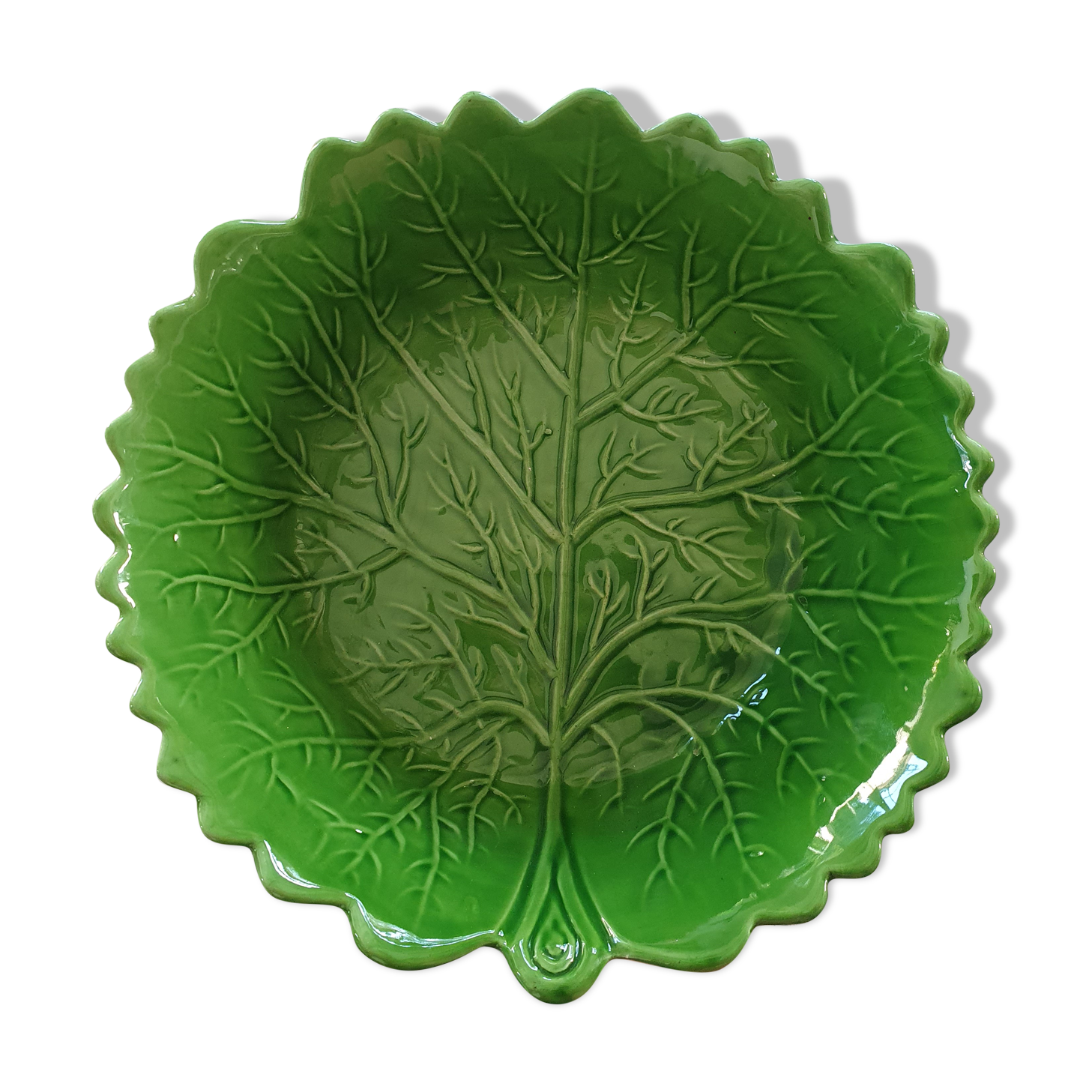 Salad bowl cabbage slurry