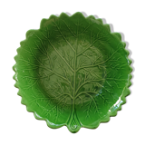 Salad bowl cabbage slurry