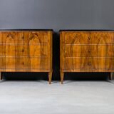 Set of 2 Identical Biedermeier Chests of Drawers, Germany, 19th Century, Wa