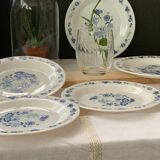 3 bowls and 5 blue plates