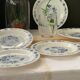 3 bowls and 5 blue plates