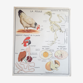 Vintage two-sided school poster