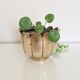 Vintage flower brass pot cover