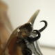 Large young chamois ceramic trinket