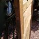 Pair of doors