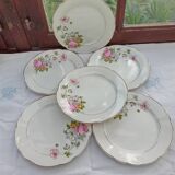 6 Anemone / Digoin flat plates