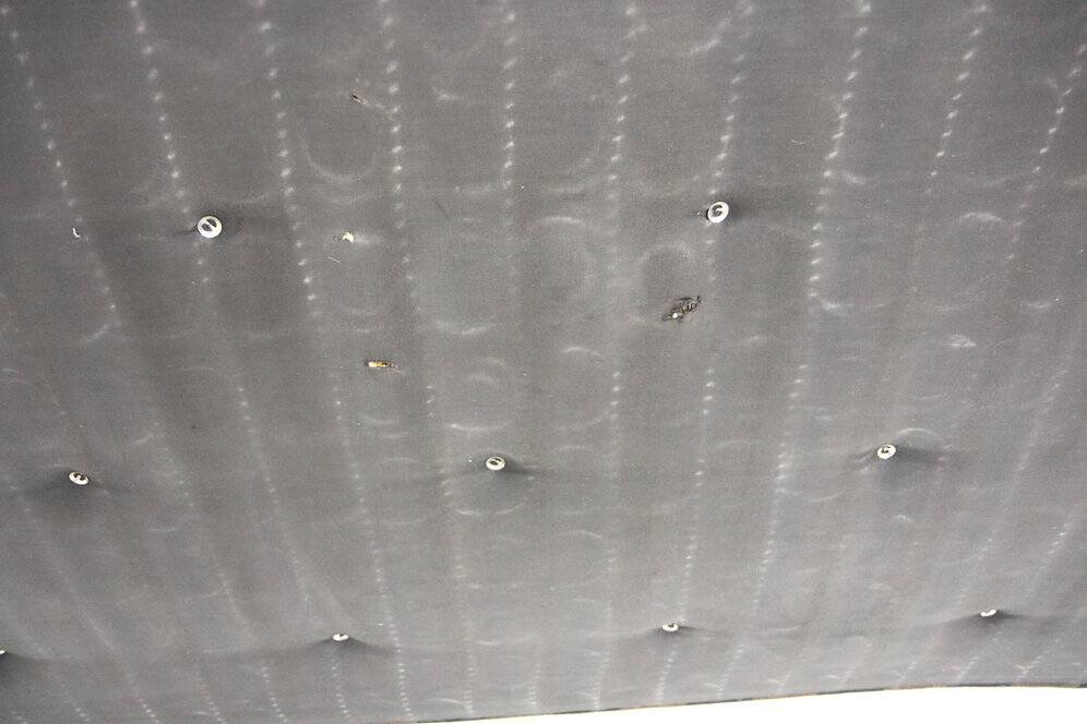 Daybed "AG 192", Børge Mogensen, Fredericia Stole Fabrik, Denmark, 1960