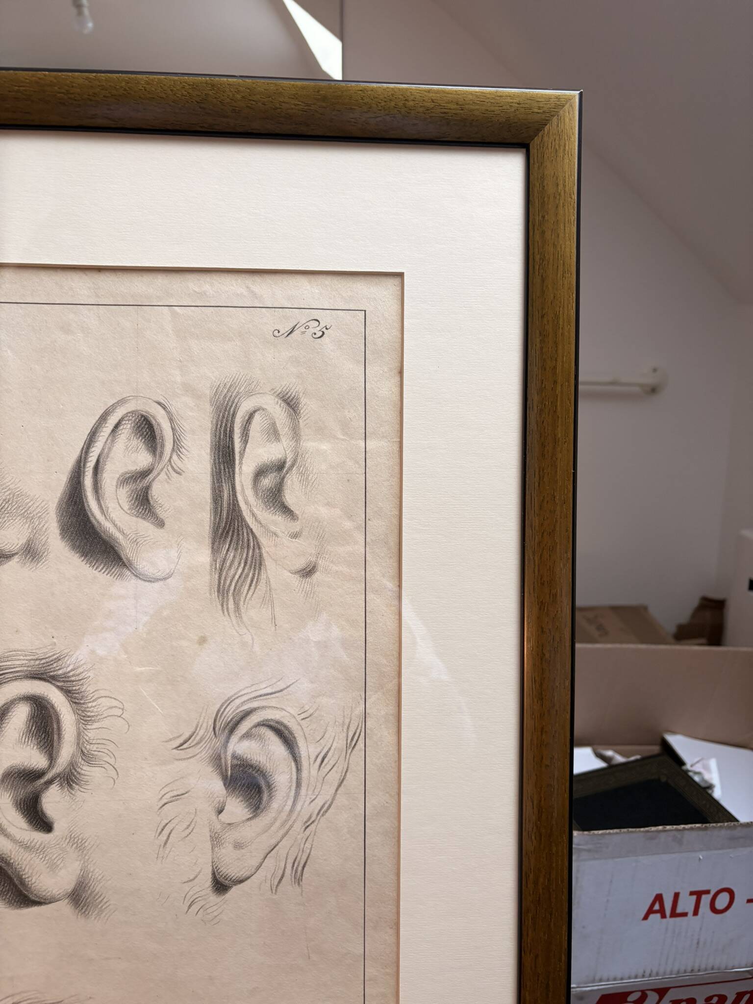 Old Print Engraving 19th Century Framed Academic Study Ear Van Bree