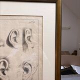 Old Print Engraving 19th Century Framed Academic Study Ear Van Bree