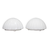 1970s Pair of Ceilink or Wall Lights in Milky Glass, Czechoslovakia