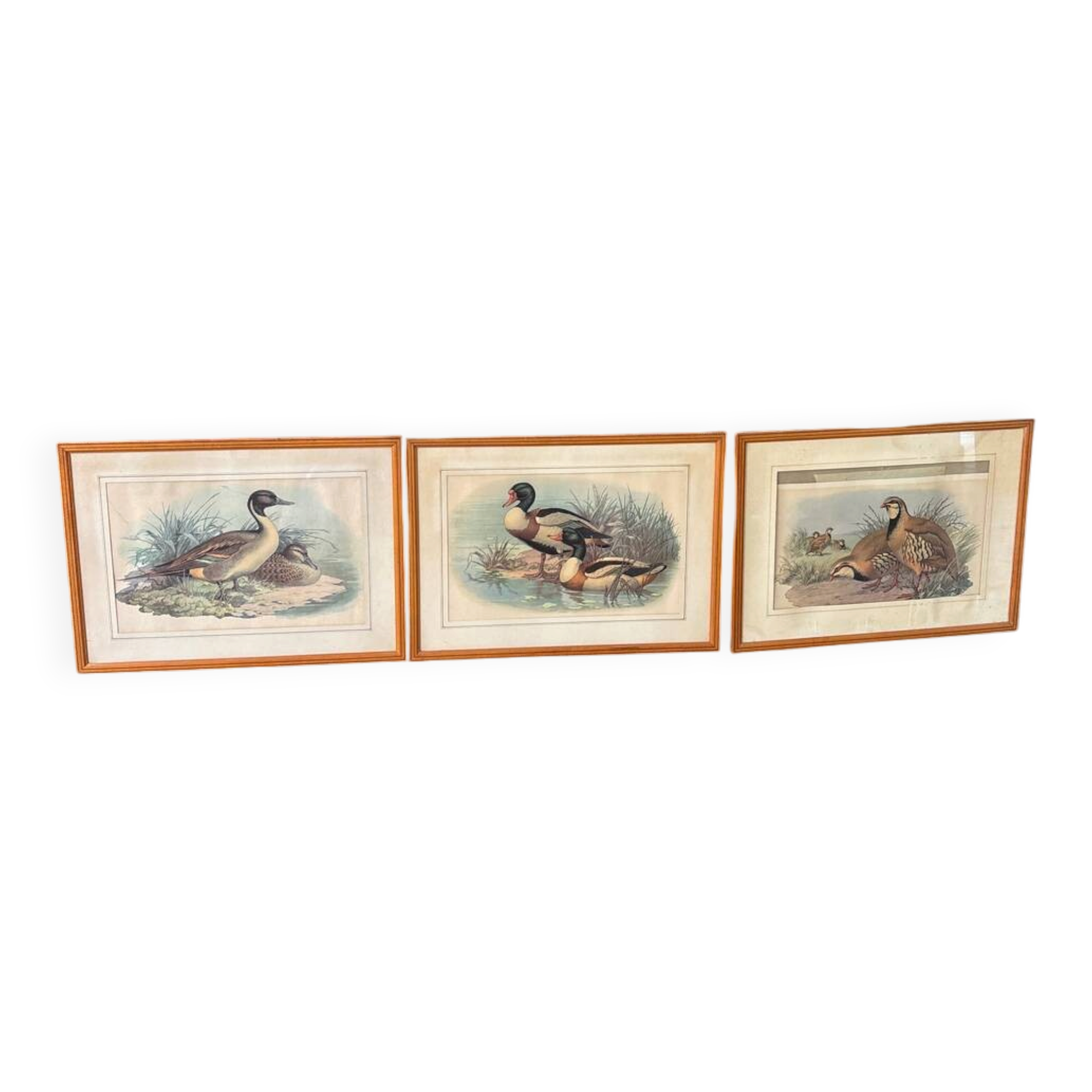 3 prints of ducks and partridges