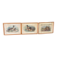 3 prints of ducks and partridges