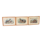3 prints of ducks and partridges