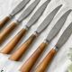 6 Vintage Horn Knives Silver Steel Blade LEPINE A LYON France 19th Century