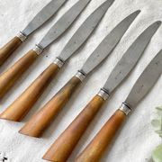 6 Vintage Horn Knives Silver Steel Blade LEPINE A LYON France 19th Century
