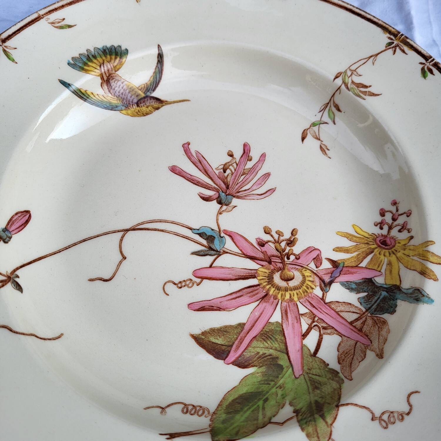 Lot of 4 hummingbird soup plates 1875
