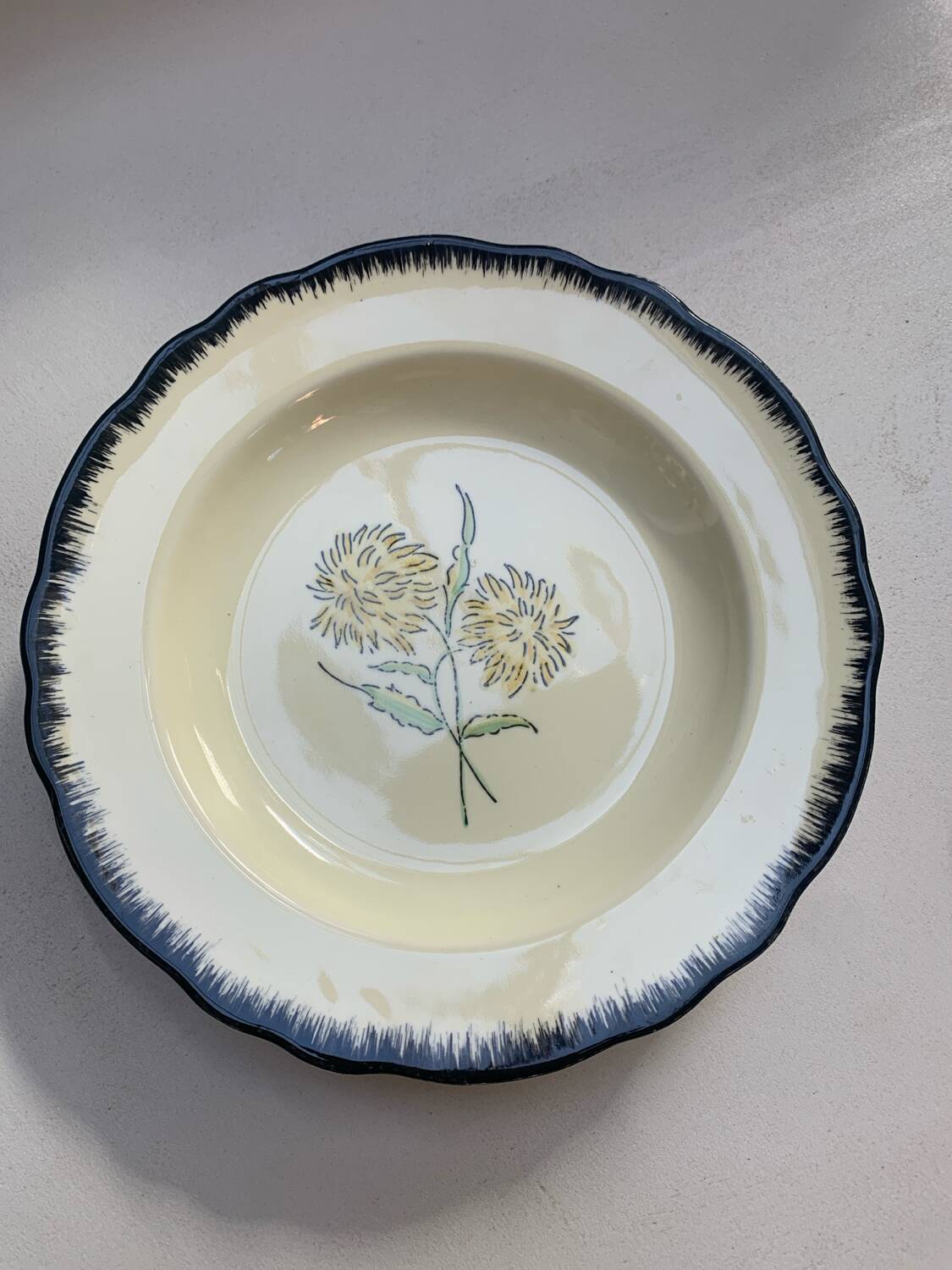 Salins France plates