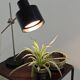 Jan Suchan table lamp for Elektrosvit, model 1012 01, year 60