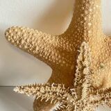 Vintage starfish