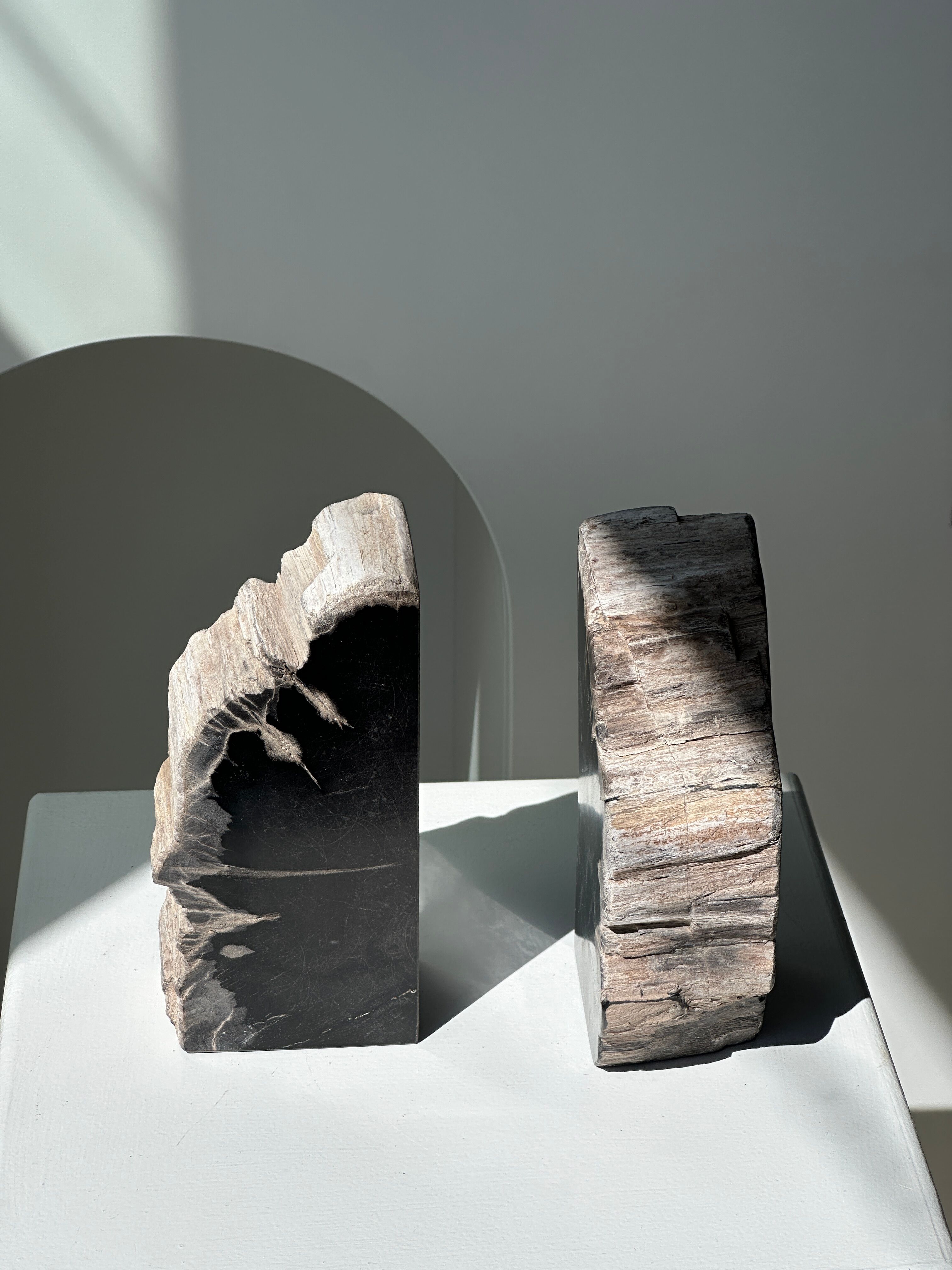Black petrified wood bookend H17 L17 P6