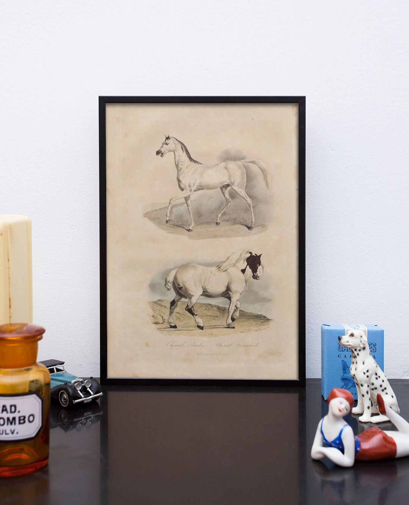 Lithography engraving vintage horse - 1850