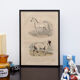 Lithography engraving vintage horse - 1850