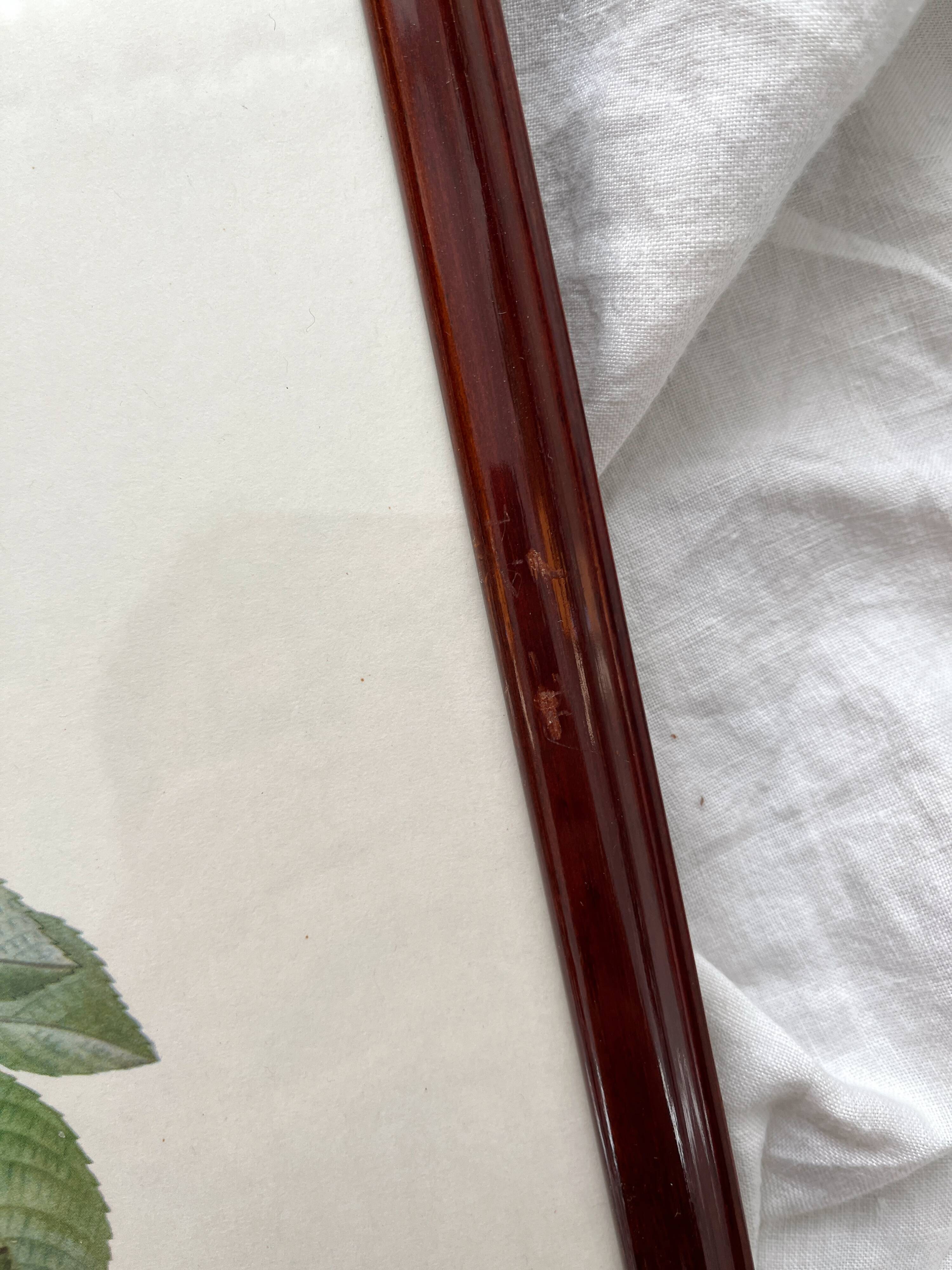 Framed lithograph of roses by Pierre Joseph Redouté, vintage botanical poster
