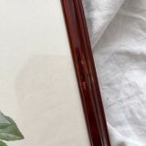 Framed lithograph roses Pierre Joseph Redouté, vintage botanical poster