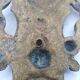 Brass lion head. Furniture decoration, leftover knocker or large nail cover?