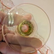 11 coupes La Rochère bicolores, années 1960-70