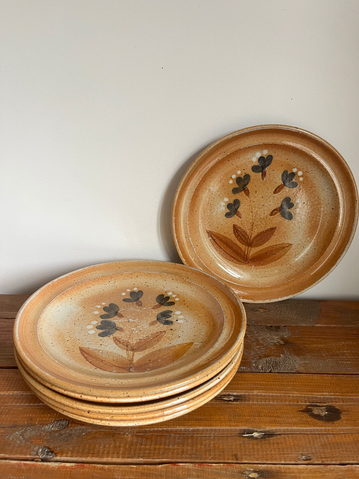 6 assiettes plates en grès 